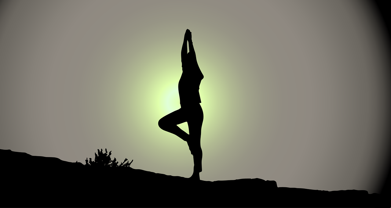 flystein_yoga
